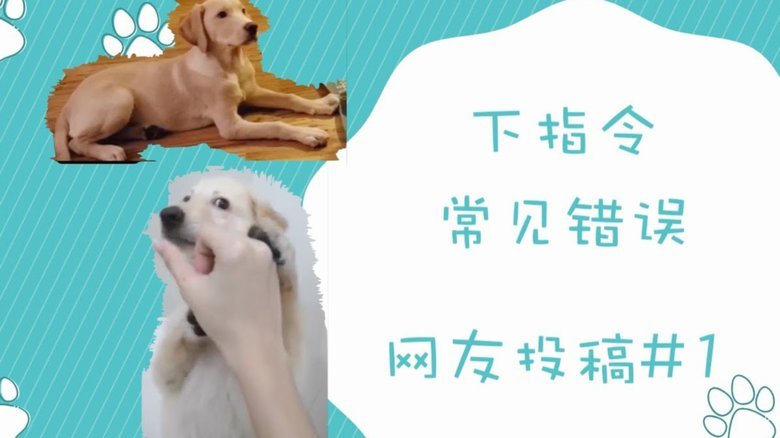 姆巴佩伤情再添忧 核磁共振明日复查