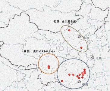 中国足球（裁判），出征2026世界杯！