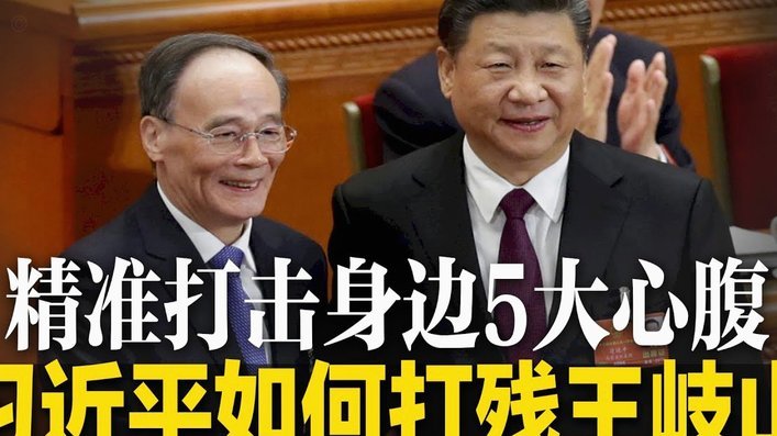 这届日本队 怎么都是曾被掐尖淘汰的孩子啊