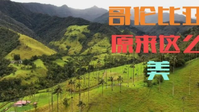 哥伦比亚中场：机会无数难破门，1-0遗憾落败