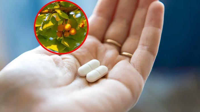 德尚直指裁判：世界杯半决赛有水平吗？我不回答