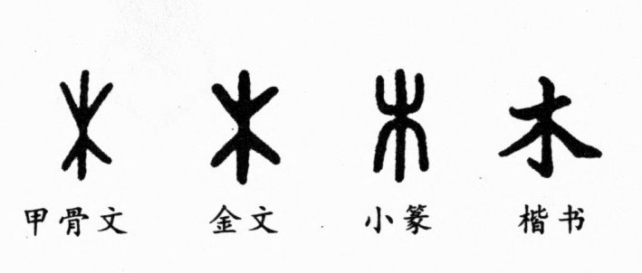 我还是觉得帅惟浩踢后腰最好，如果帅惟浩改踢后腰，潜力将会是亚洲顶级！