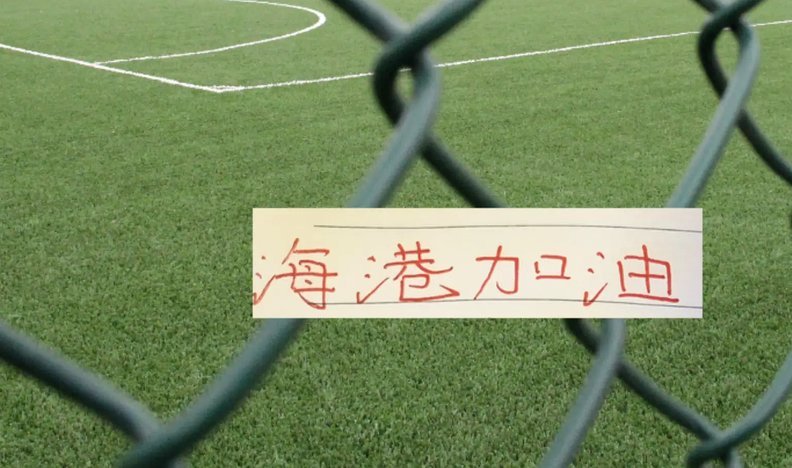 足协杯：泰山主场0-3完败海港，杨希传射建功助队进四强