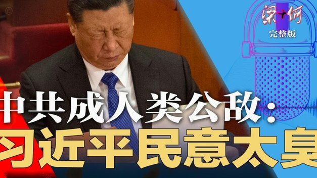 史松宸与彭啸：差距与共进